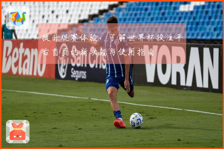 提升观赛体验，了解世界杯投注平台首页的新功能与使用指南