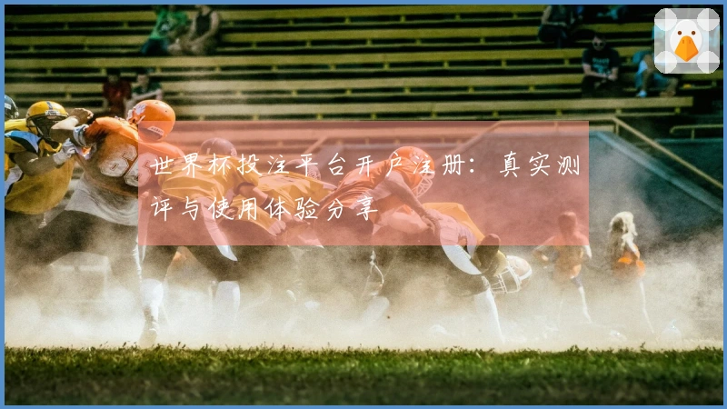 世界杯投注平台开户注册：真实测评与使用体验分享