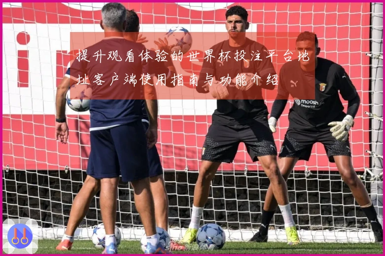 提升观看体验的世界杯投注平台地址客户端使用指南与功能介绍