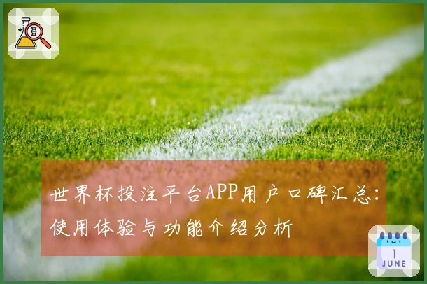 世界杯投注平台APP用户口碑汇总：使用体验与功能介绍分析
