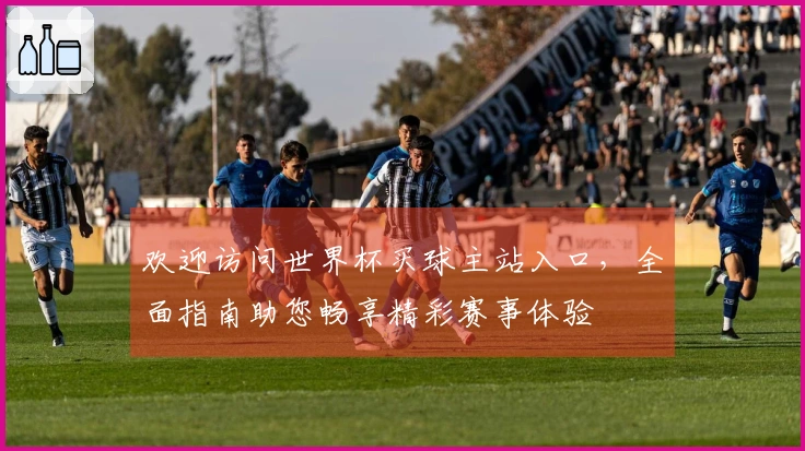 欢迎访问世界杯买球主站入口，全面指南助您畅享精彩赛事体验