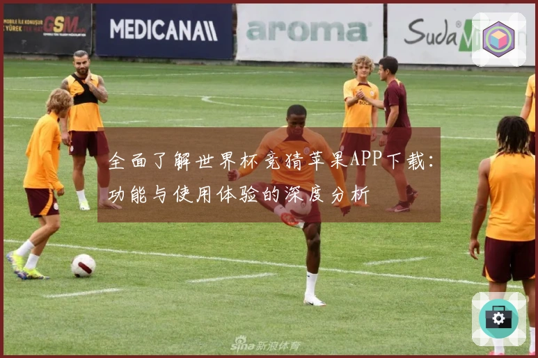 全面了解世界杯竞猜苹果APP下载：功能与使用体验的深度分析