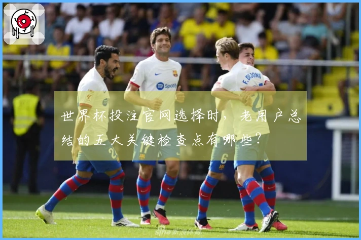 世界杯投注官网选择时，老用户总结的五大关键检查点有哪些？