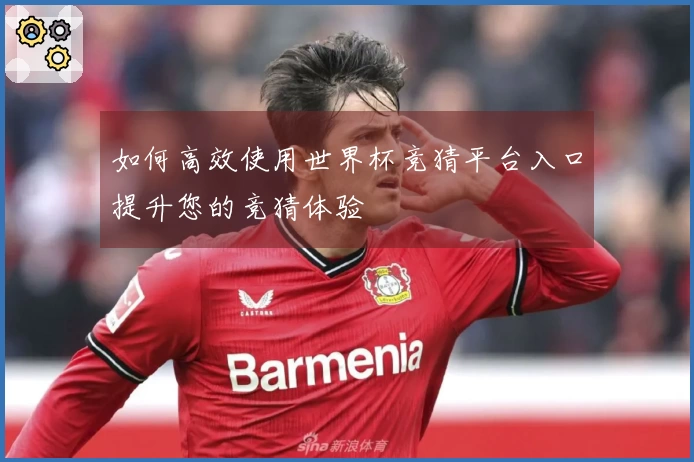 如何高效使用世界杯竞猜平台入口提升您的竞猜体验