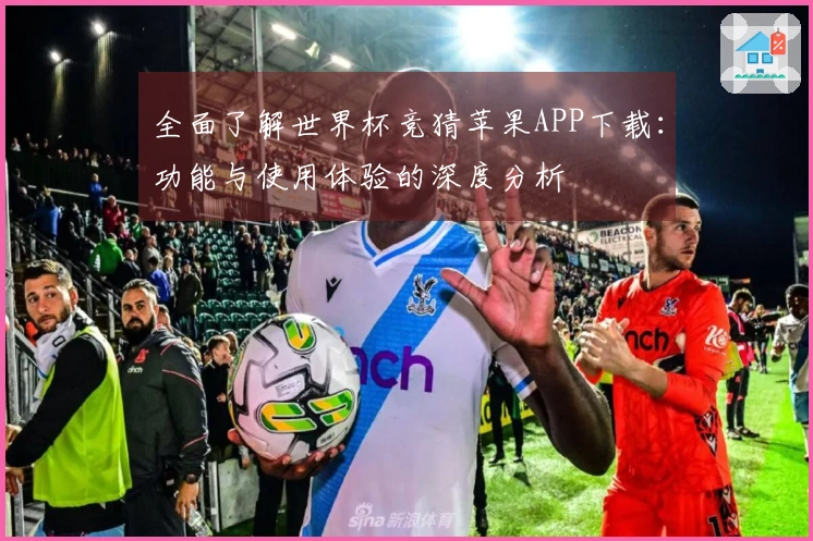 全面了解世界杯竞猜苹果APP下载：功能与使用体验的深度分析