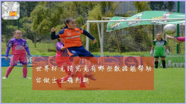 世界杯竞猜究竟有哪些数据能帮助你做出正确判断