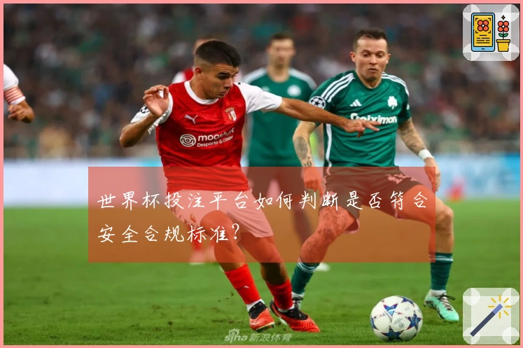 世界杯投注平台如何判断是否符合安全合规标准？