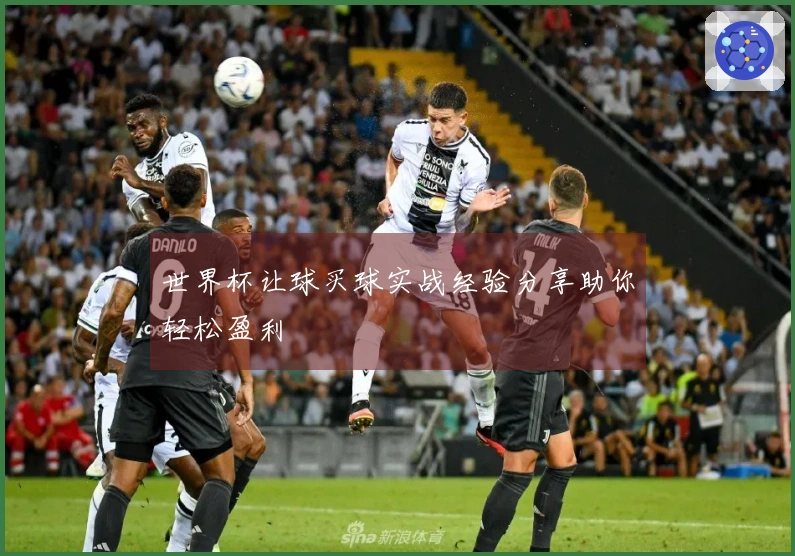世界杯让球买球实战经验分享助你轻松盈利