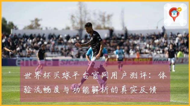 世界杯买球平台官网用户测评：体验流畅度与功能解析的真实反馈