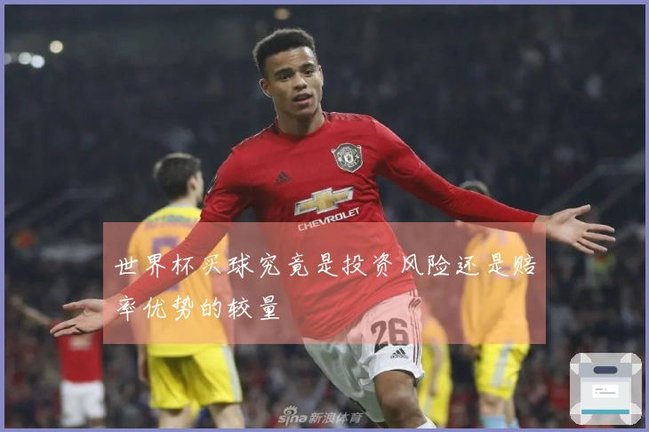 世界杯买球究竟是投资风险还是赔率优势的较量