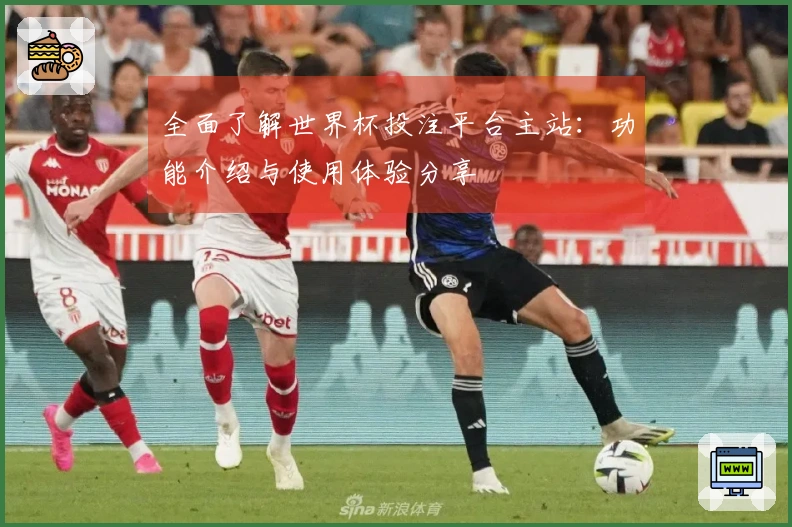 全面了解世界杯投注平台主站：功能介绍与使用体验分享
