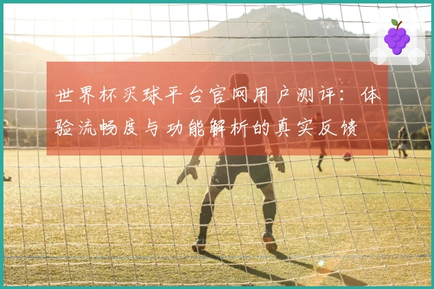 世界杯买球平台官网用户测评：体验流畅度与功能解析的真实反馈