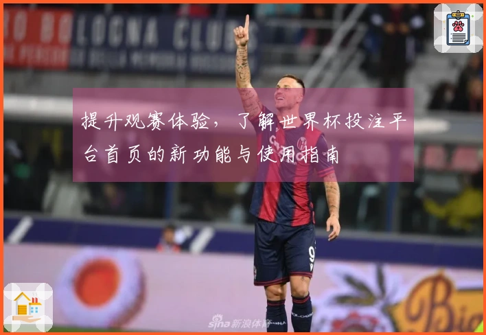 提升观赛体验，了解世界杯投注平台首页的新功能与使用指南