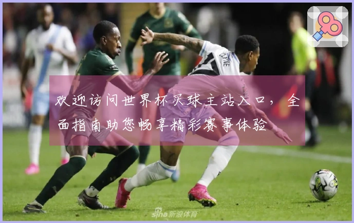 欢迎访问世界杯买球主站入口，全面指南助您畅享精彩赛事体验