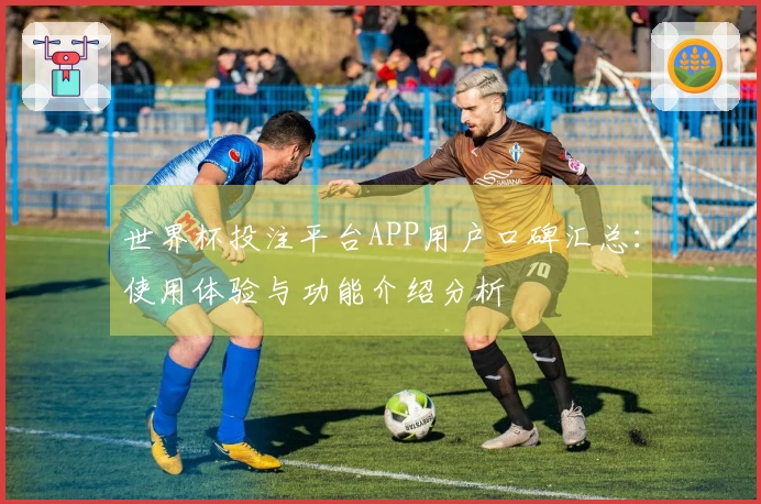 世界杯投注平台APP用户口碑汇总：使用体验与功能介绍分析